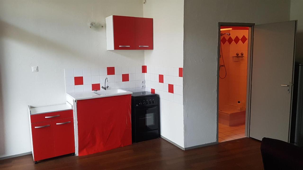 Grand Studio Et Jolies Chambres A Louer Passins Exteriör bild